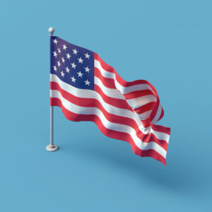 Общая консультация по визам в США