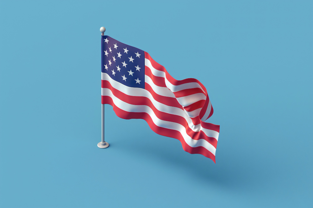 Общая консультация по визам в США